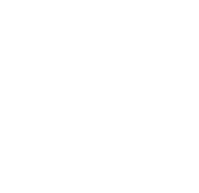 form icon