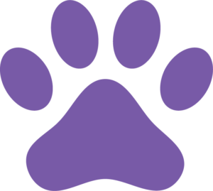 dog icon